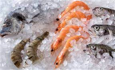 آلات صنع الثلج لصيد الأسماك تعمل على تعزيز صناعة المأكولات البحرية