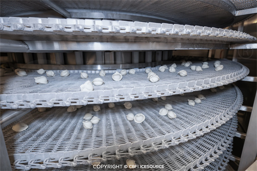 دراسة حالة: خط إنتاج الزلابية المجمدة بسرعة إنتاج طن واحد في الساعة في أورسك، روسيا