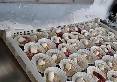 مبدأ التبريد ومزايا المجمدات النفقية