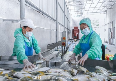 15-Ton Tube Ice Machine in Guangxi Marine Fish Processing Factory